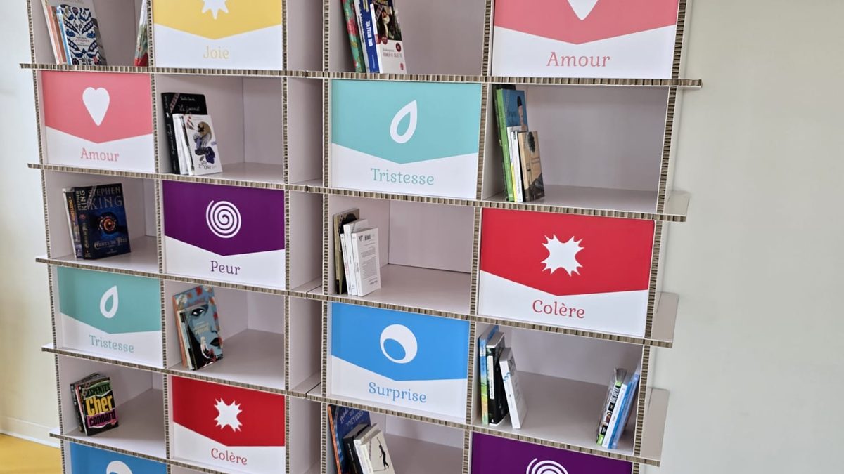 Les cases colorées d’une Bibliothèque des Émotions, une émotion par étagère