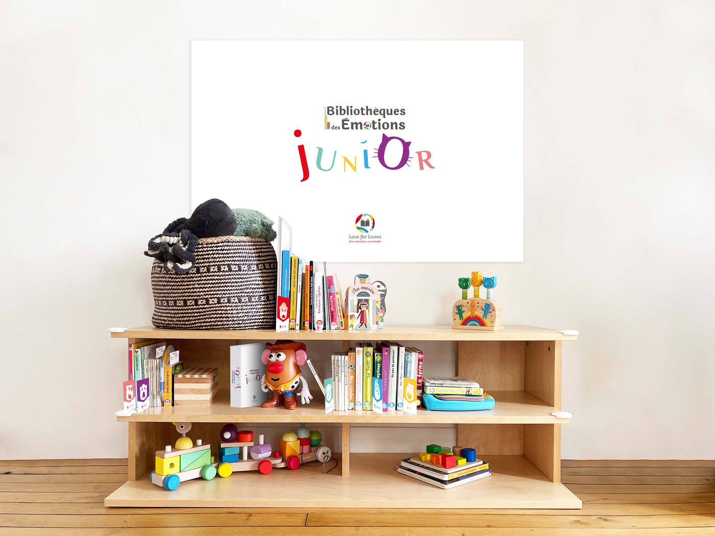 Une Bibliothèque des Émotions Junior installée à la maison