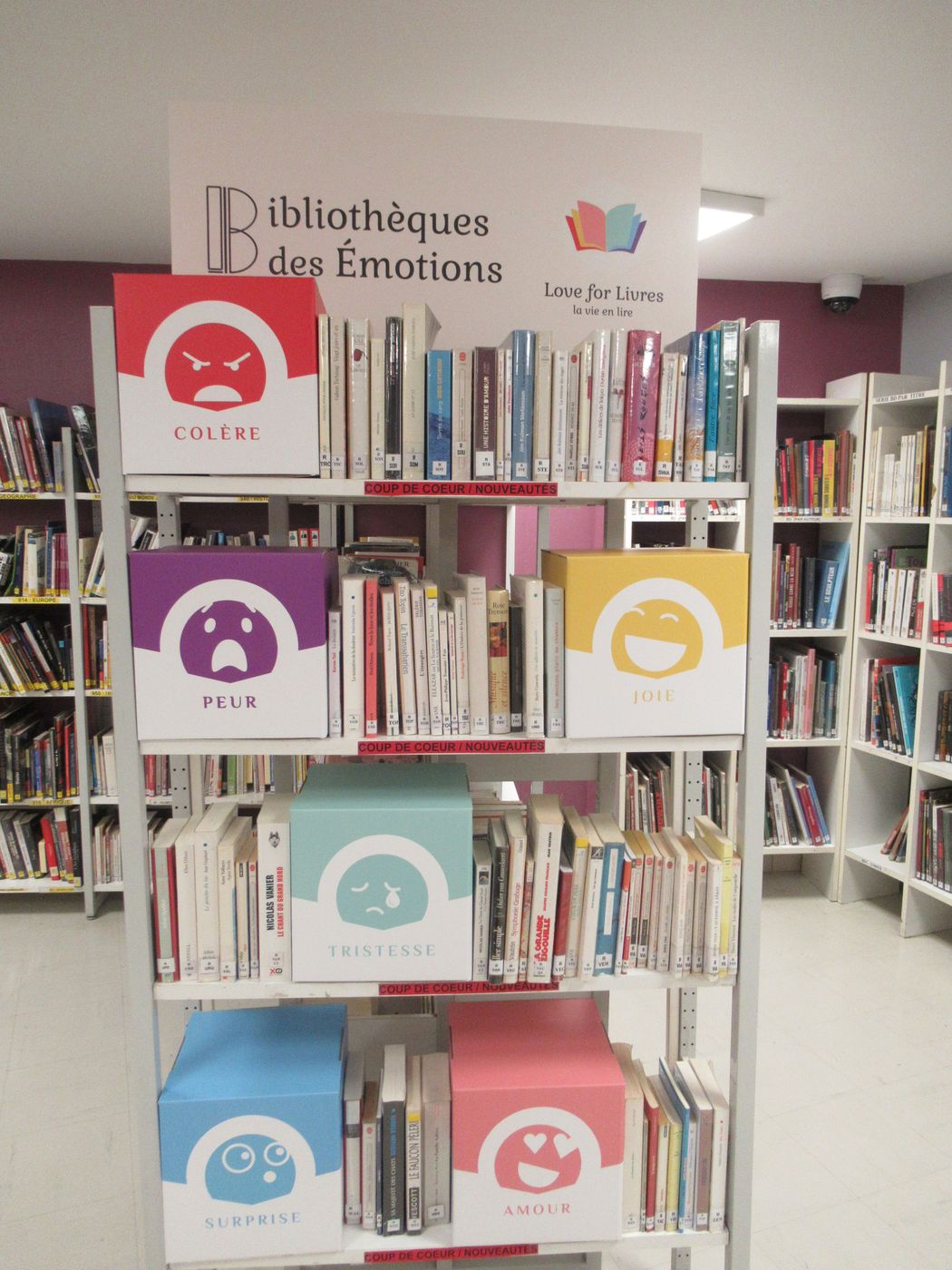 Les modules du Kit Bibliothèque des Émotions intégrés à des rayonnages