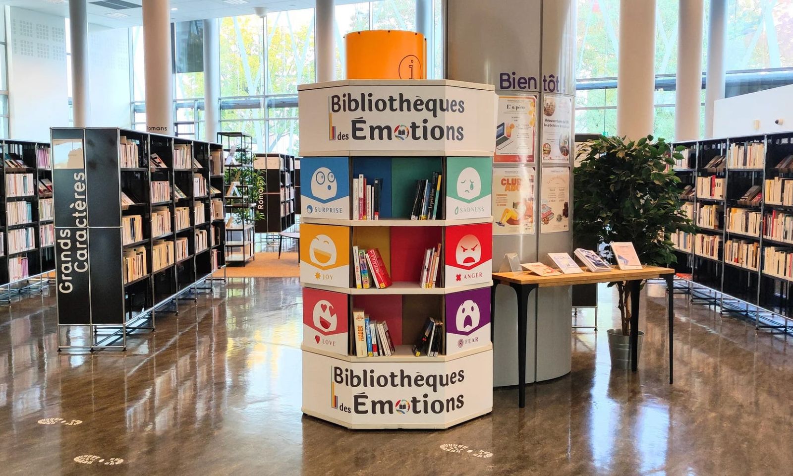 Une Bibliothèque des Émotions au milieu des rayonnages d’une médiathèque